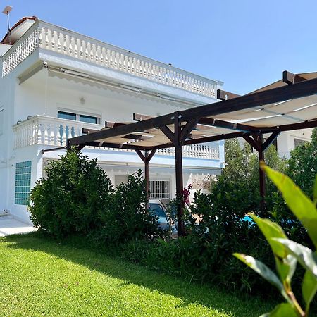 Villa Vave 네아 이라클리아 외부 사진